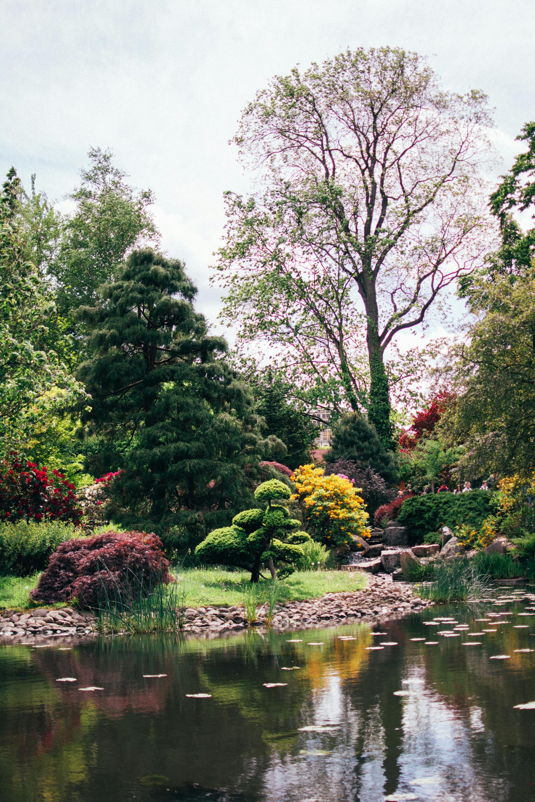 A tranquil park scene featuring a reflective pond surrounded by lush trees and vibrant spring foliage.